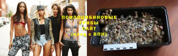 гидропоника Семилуки