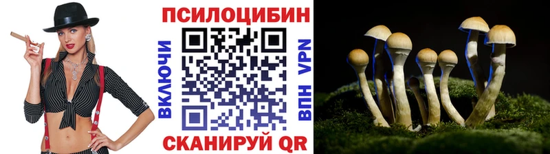 купить цена KRAKEN ссылки Галлюциногенные грибы мухоморы Макаров